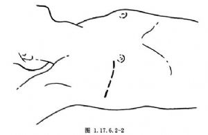 交感神经