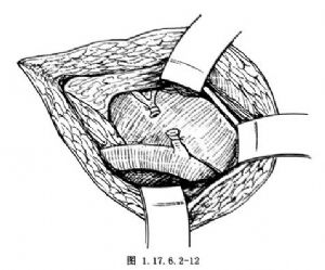 交感神经